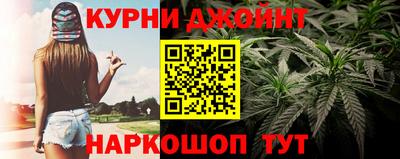 индика Тулун