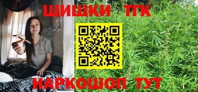индика Тулун