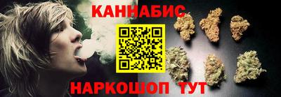 индика Тулун