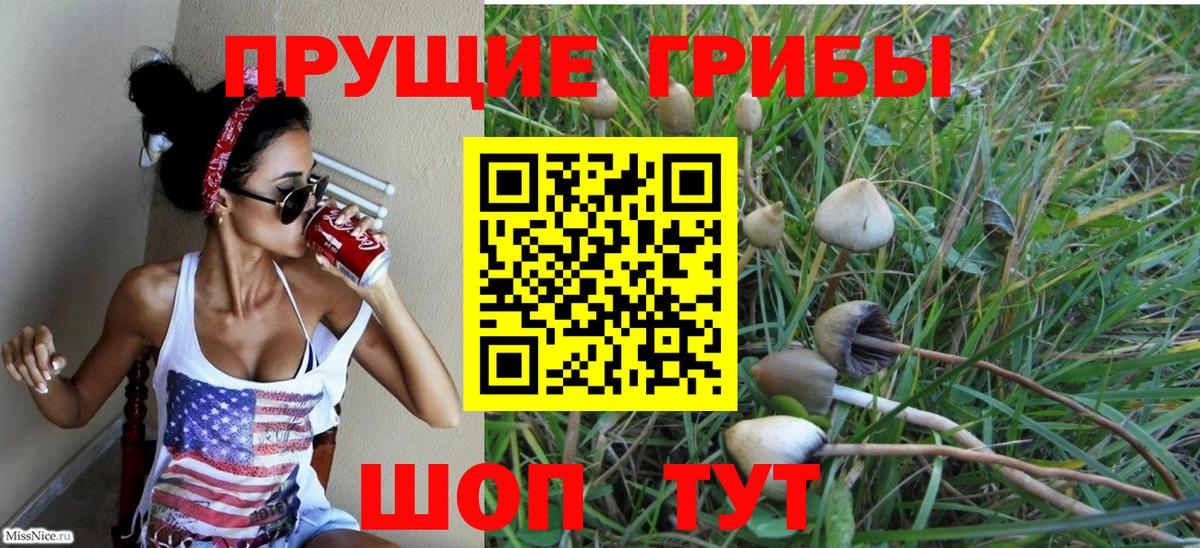 Псилоцибиновые грибы ЛСД  Вход с VPN  Нефтекумск  Псилоцибиновые грибы MAGIC MUSHROOMS 